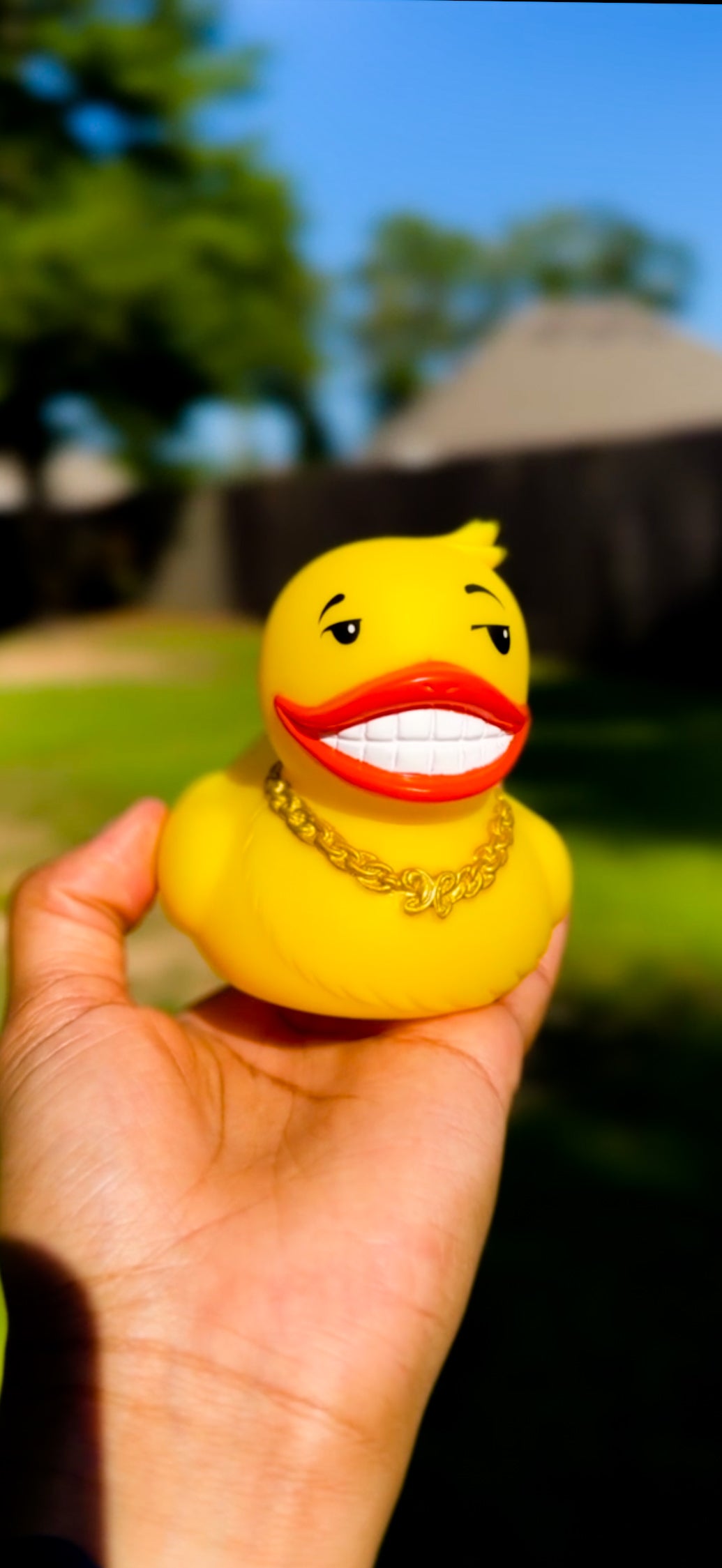 Duckoff Ping Collectible Mascot